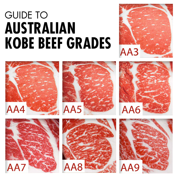 Meat Marbling Chart
