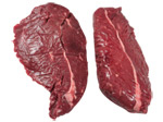 bison