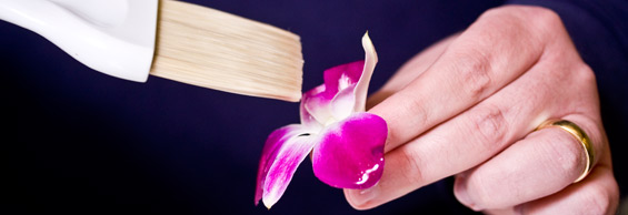 brushing-egg-whites-orchid