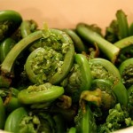 fiddleheadbowl