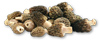 Morel Recipe Collection