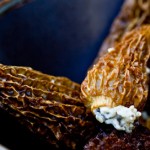 fried-morels