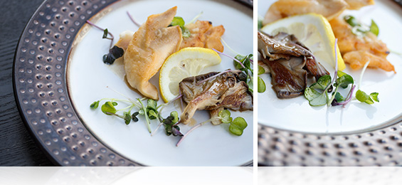 geo duck recipe geo duck recipe
