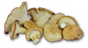 Chanterelle Recipe Collection