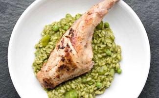 Green Risotto with Favas, Peas & Rabbit