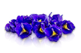 Micro Blue Sapphire Flowers