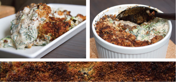 morel-gratin-collage