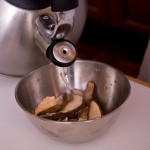 mushrooms-11