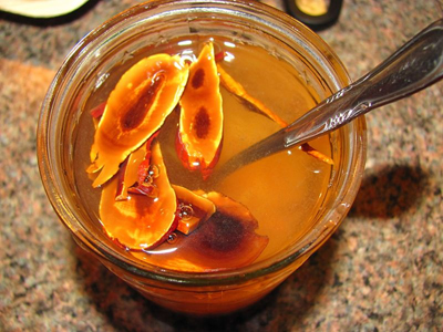 reishi tea