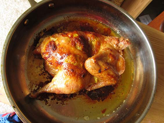 Turmeric Chicken