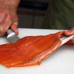 salmon