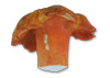 Lobster Mushroom Recipes