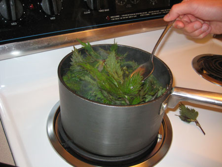 cooking-nettles.jpg