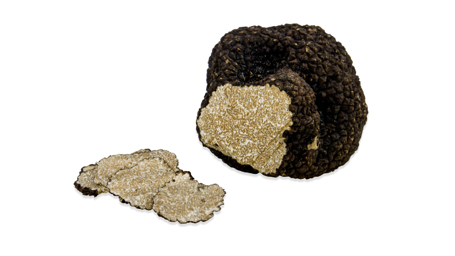 Fresh Italian Black Truffles Burgundy Black Fall Truffles