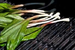 Grilled Wild Ramps
