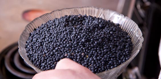 beluga-lentils