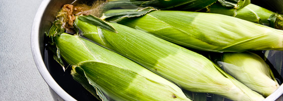 ears of corn soaking