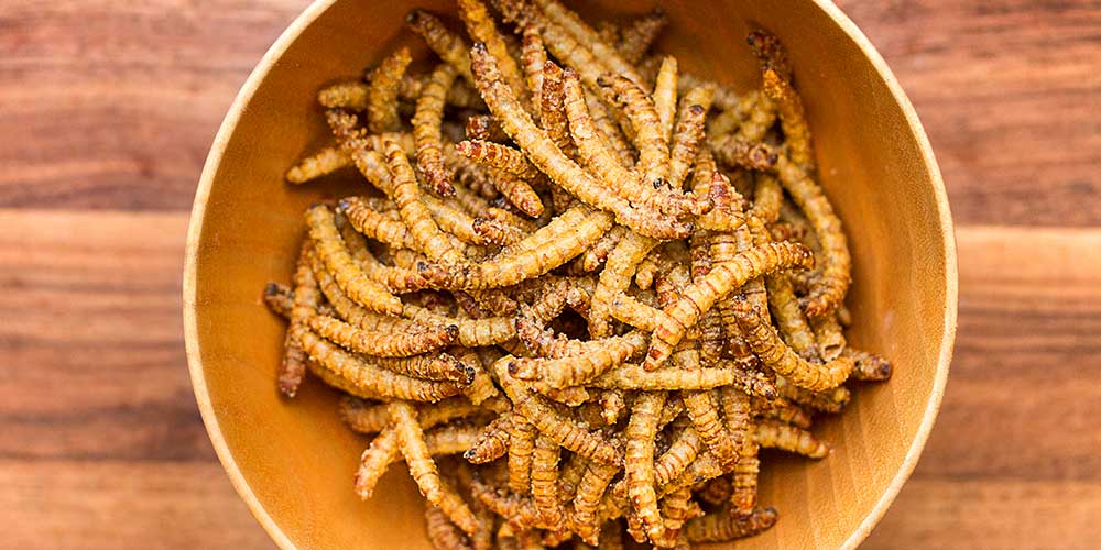 Cumin Spiced Beetle Larvae Snacks