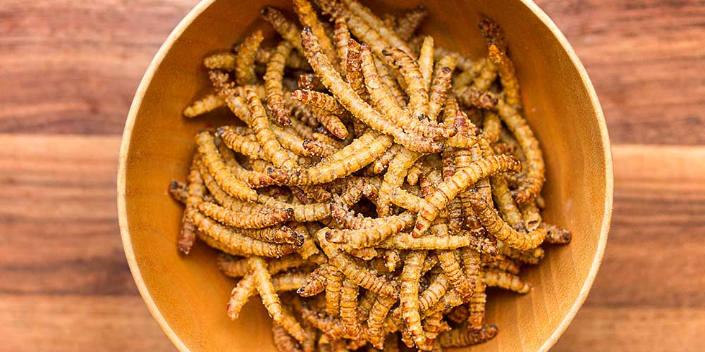 Cumin Spiced Beetle Larvae - Marx Foods Blog