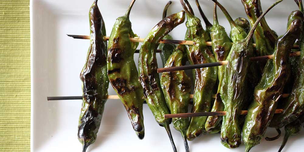 Grilled Shishito Peppers