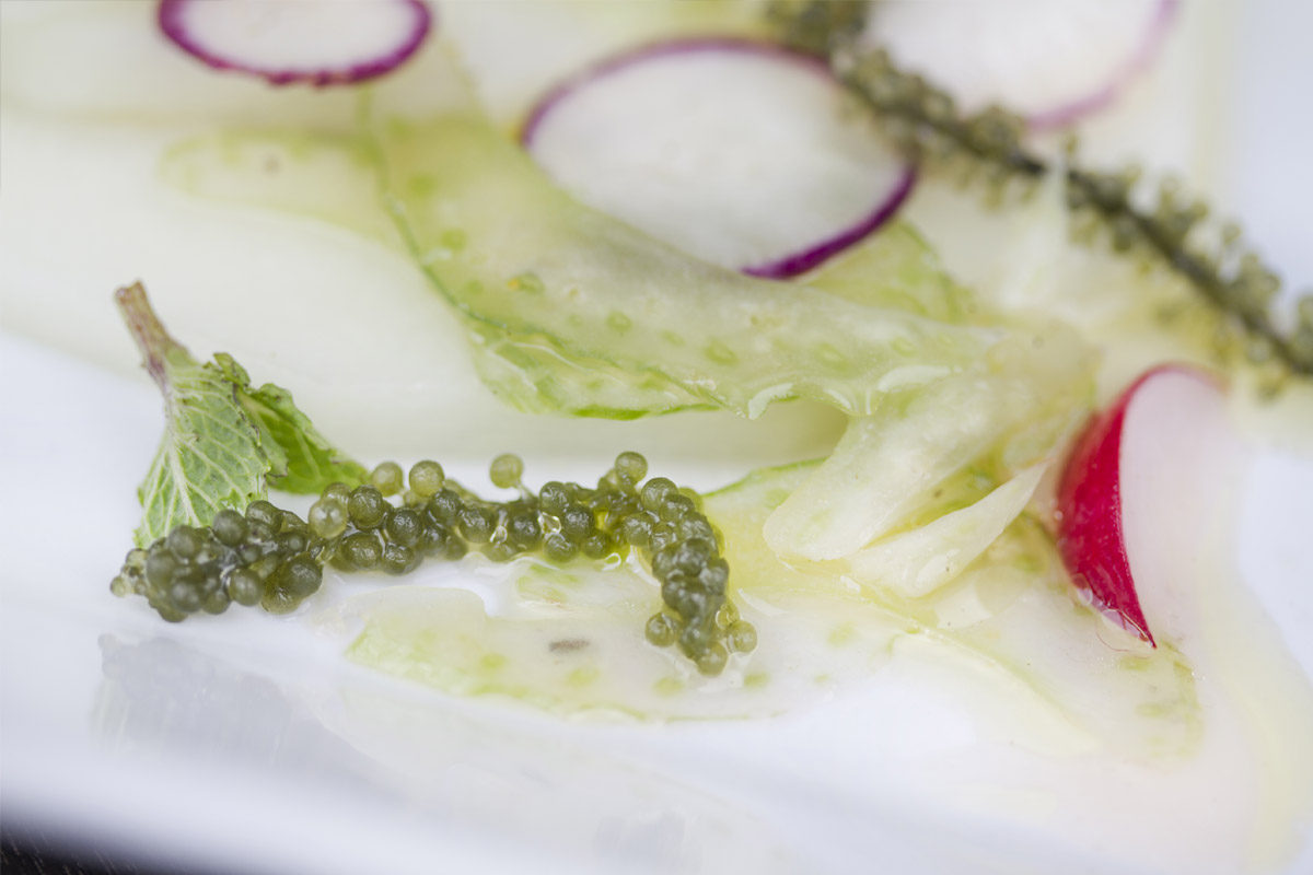 Sea Grape, Melon & Radish Salad
