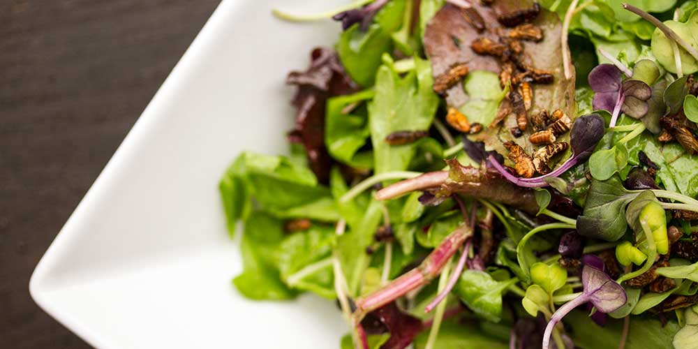 Termite Salad with Mango-Orange Vinaigrette