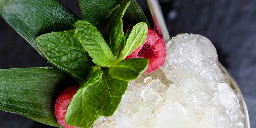 Tropical Rum Mint Julep