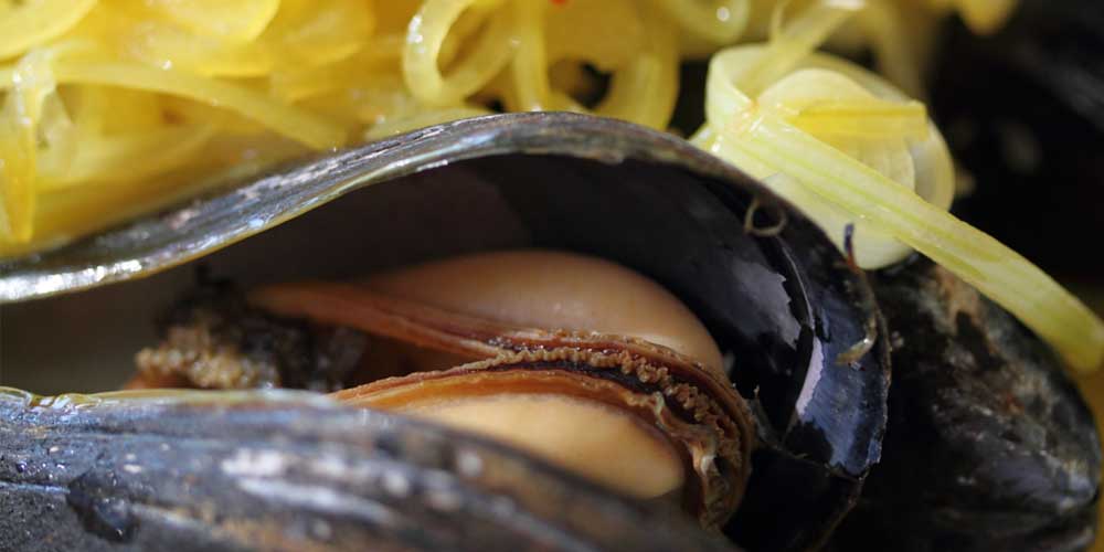 White Wine & Saffron Steamed Mussels