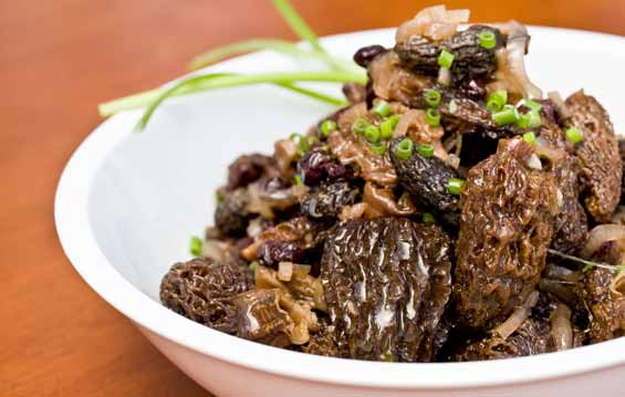 Marinated Morel Salad