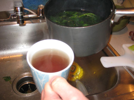 nettle-tea.jpg