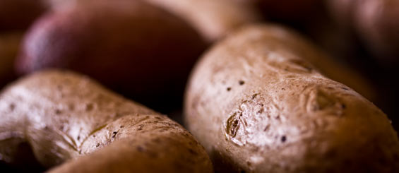 roasting-heirloom-potatoes