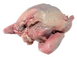 Buy Squab (Pigeon Meat)