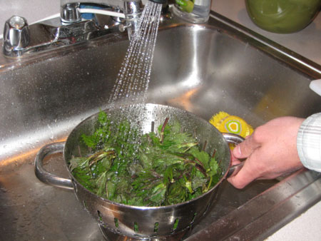 washing-nettles.jpg